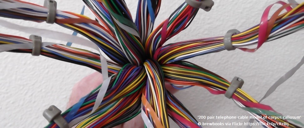 Creating an IXP in Denver, Colorado, USA Thumbnail