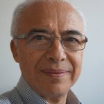 Jean-Jacques Subrenat