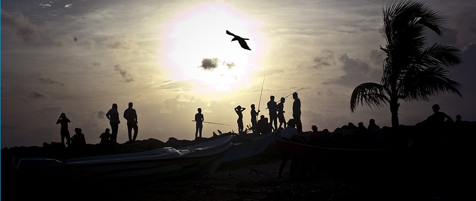 Beyond The Net: New Grants Programme For Chapters is Launched! Thumbnail