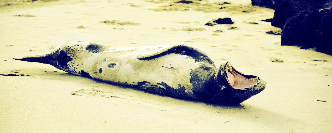 The Lazy Person’s Guide to Better Online Privacy Thumbnail