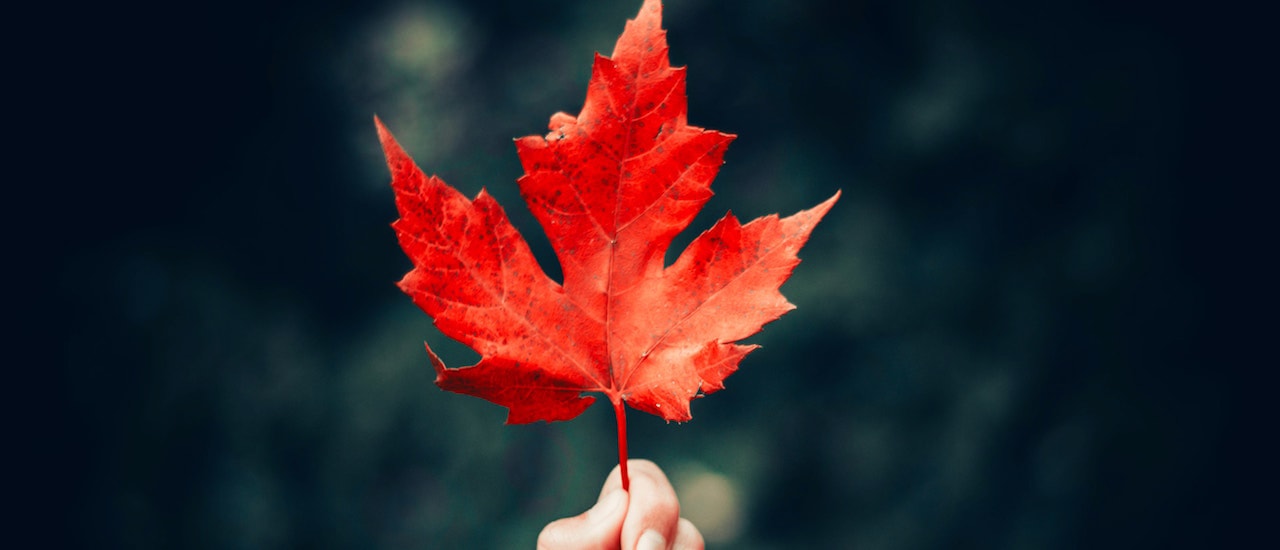 Les porte-paroles de la jeunesse canadienne participent à l&rsquo;amélioration du projet IdO Thumbnail