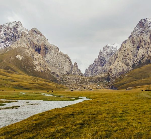 Building the Digital Silk Road Together: Kyrgyz Chapter Proposes Ideas for Internet Development in Central Asia at Cambridge University Forum Thumbnail