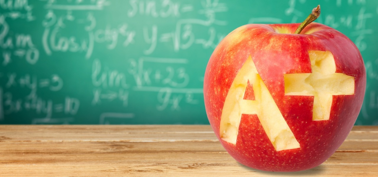 Announcing the Online Trust Audit & Honor Roll Methodology for 2018 Thumbnail