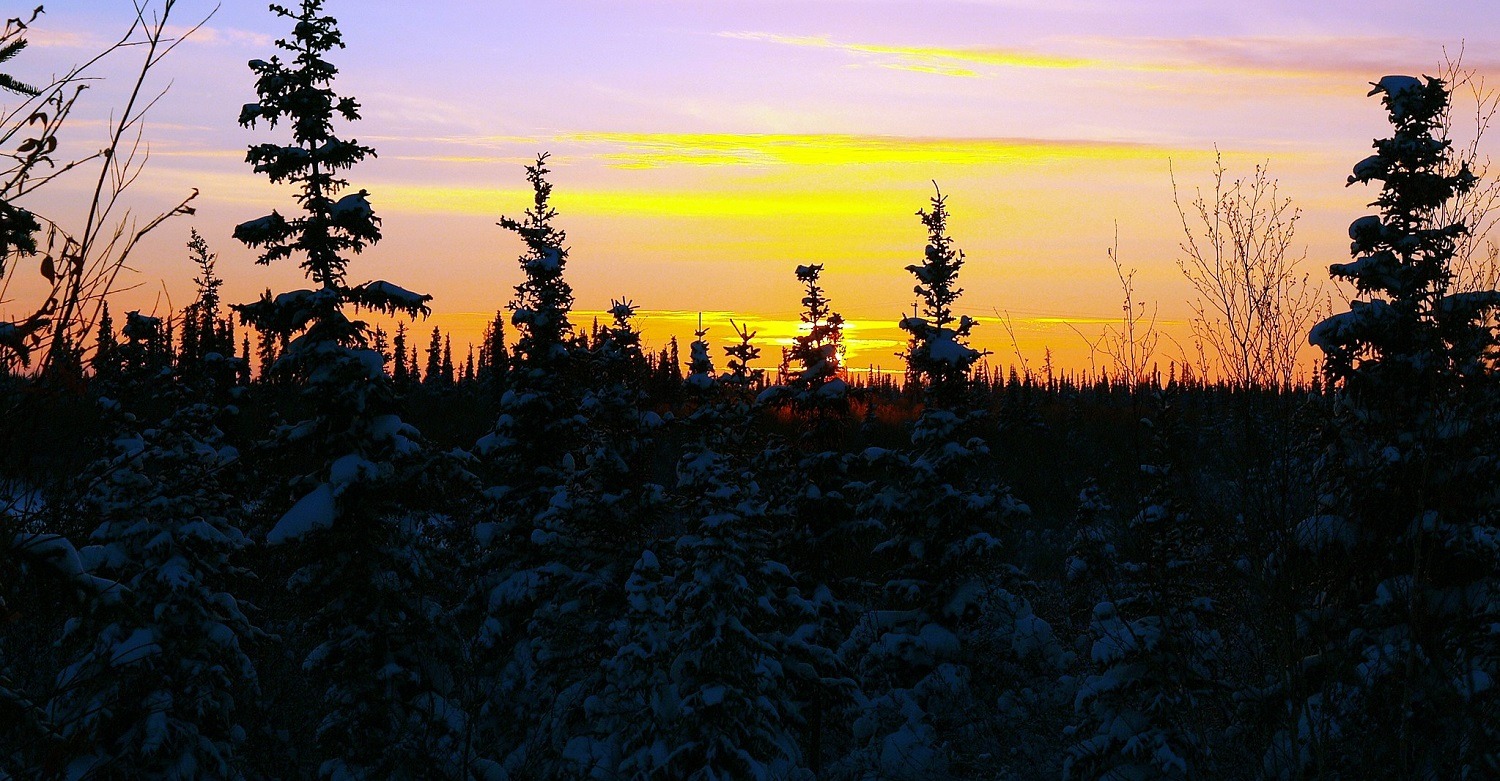 Prioritizing Indigenous Connectivity in North America Thumbnail