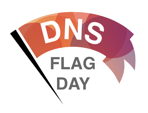 DNS Flag Day Thumbnail