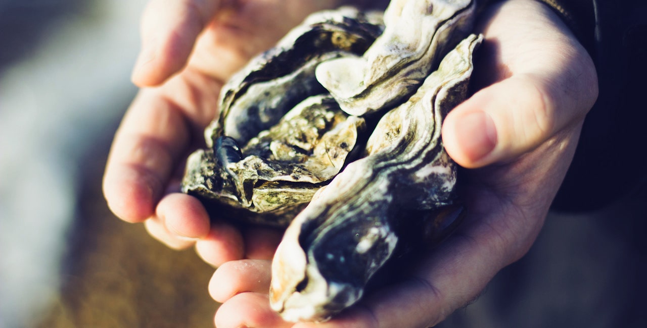 The Internet Is Your Oyster: MANRS at International Telecoms Week Thumbnail