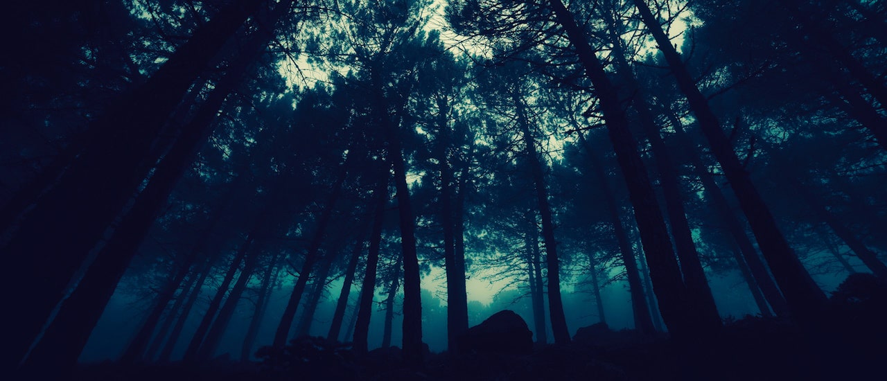 What Scary Movies Can Teach Us About Internet Trust Thumbnail