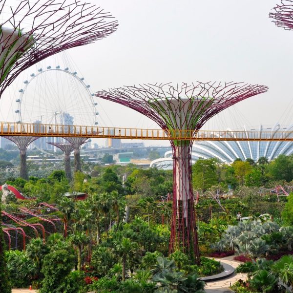 IETF 106 Begins Nov 16 in Singapore – Here is how you can participate remotely in building open Internet standards Thumbnail