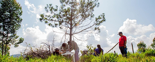 Five people in the field looking at papers