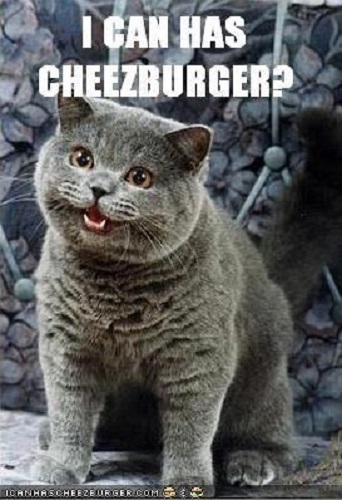 Gato azul maullando con la inscripción I can has cheezburger