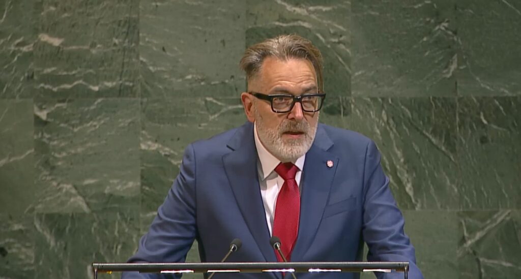 olaf-at-un Photo of Olaf Kolkman speaking at a podium at the WSIS+20 HLM.